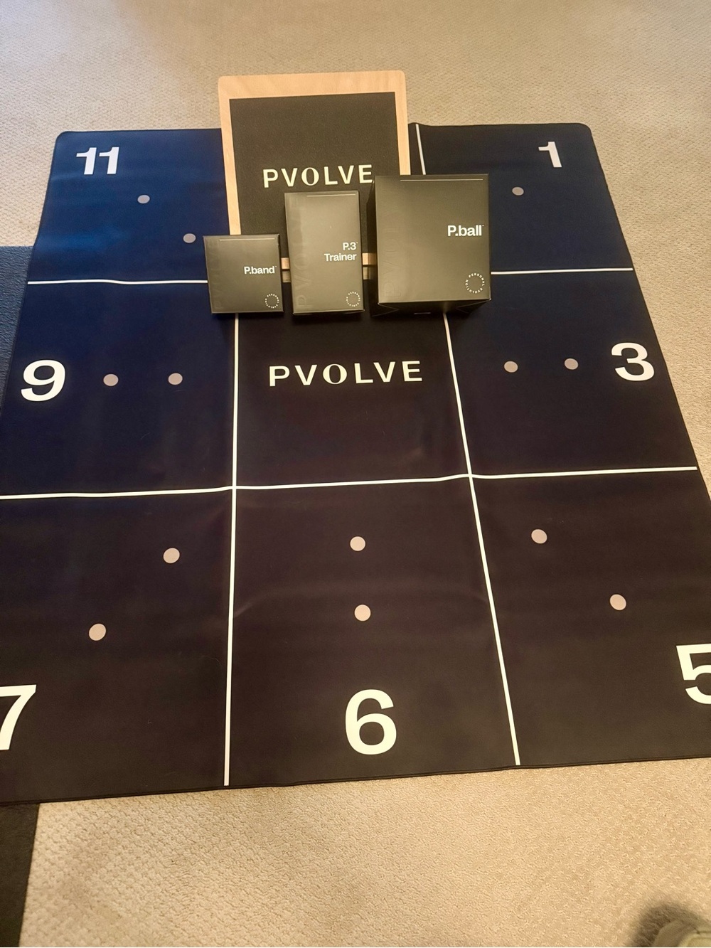 P.volve Fitness Equipment Set (Worth $500) Used Once